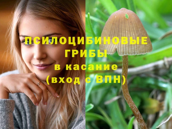 герыч Пересвет