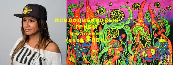 мдпв Пестово