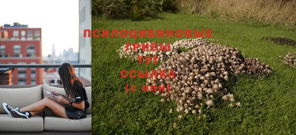 эйфоретик Армянск