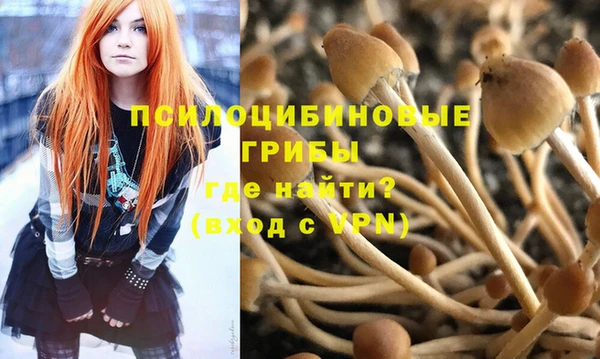 эйфоретик Армянск