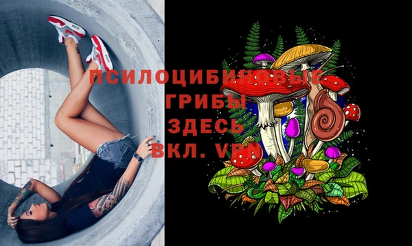 эйфоретик Армянск