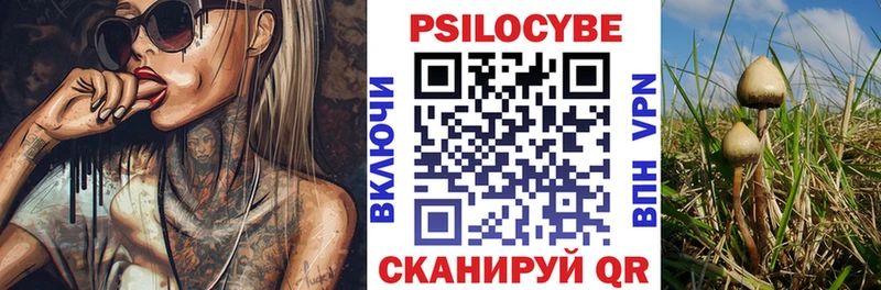Галлюциногенные грибы мицелий  Бабушкин 